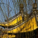 李光满