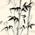 任卫东