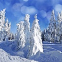 何雪飞