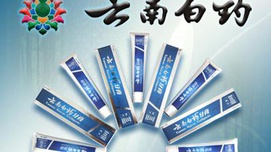 从云南白药私有化说开去