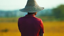 别了，种地：这些农民的选择为何如此决绝