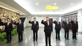 一个追求纯洁的大党