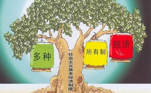 某论坛的实质：取消以国有经济为核心的公有制经济