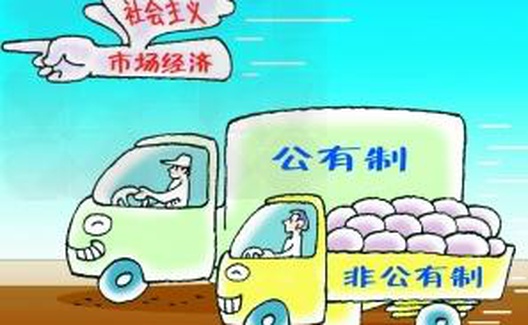 维护社会主义公有制主体地位的若干观点
