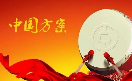 李玲：为人类贡献中国方案