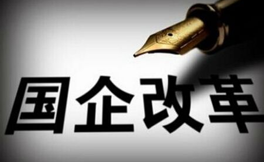 周新城：“国有企业还要不要？”