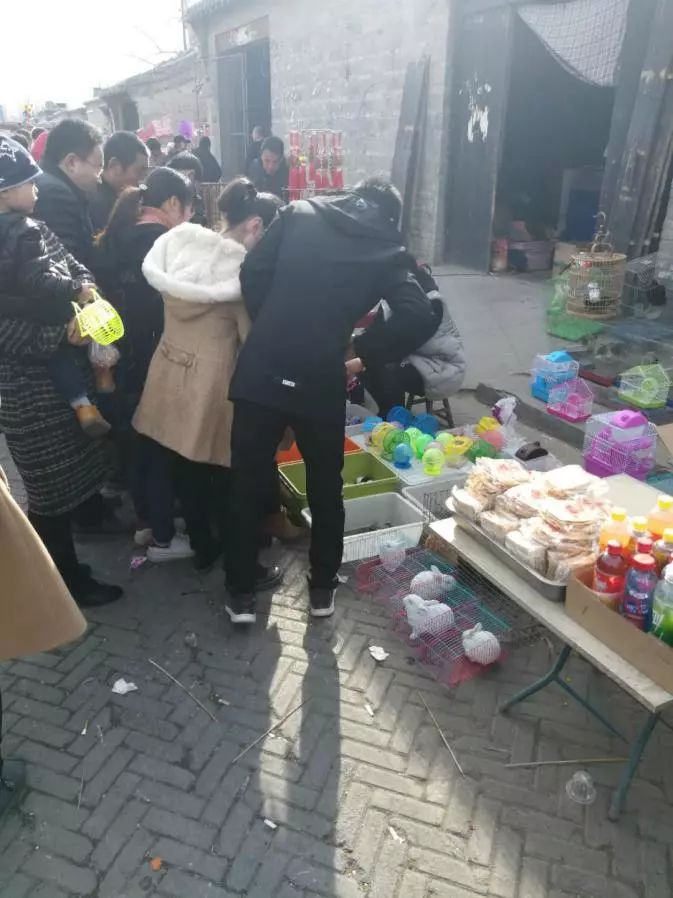 地道战景区，被“汉奸”和垃圾攻陷